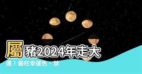 屬豬五行顏色|【豬 幸運色】屬豬2024年走大運！最旺幸運色、禁忌。